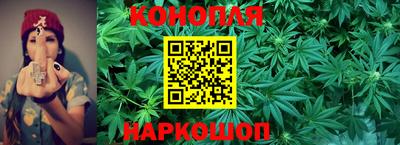 Альфа ПВП Заволжье