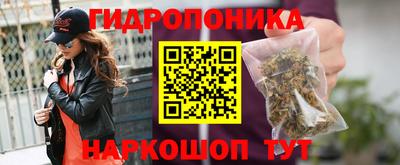 Альфа ПВП Заволжье
