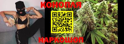 Альфа ПВП Заволжье