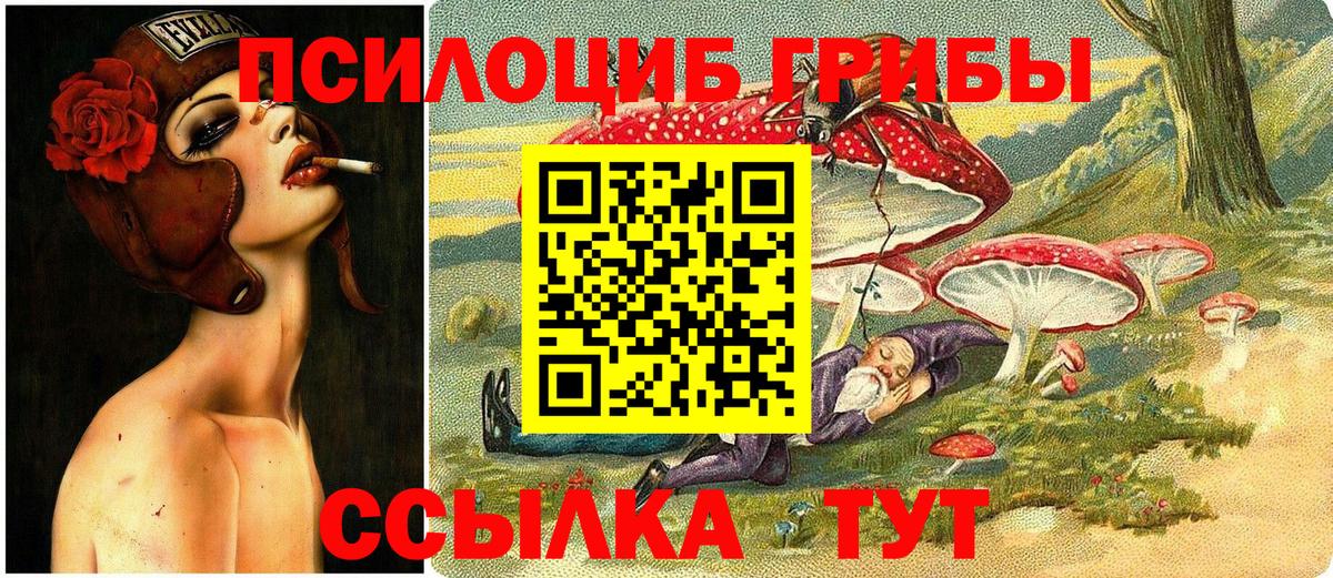 Псилоцибиновые грибы MAGIC MUSHROOMS  Псилоцибиновые грибы Psilocybe  Армавир  цены   Вход с VPN 